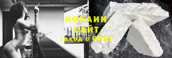 сатива Арсеньев