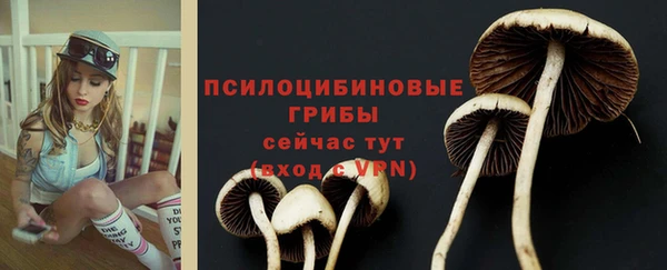сатива Арсеньев