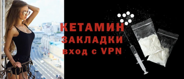 гашик Няндома