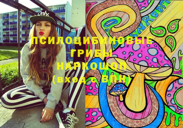 PSILOCYBIN Армянск