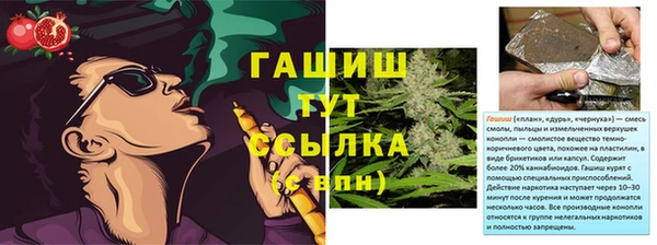 гашик Няндома